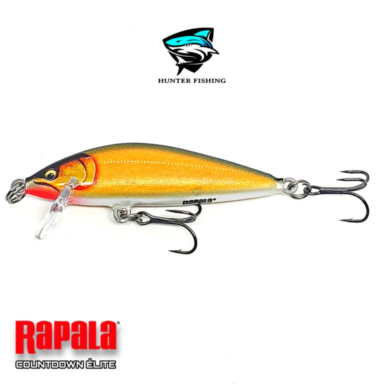 Rapala Countdown Elite GDGS Hunter Fishing Store